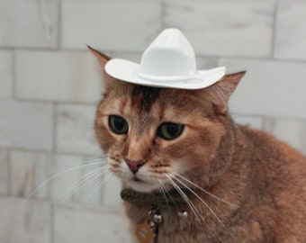 White Cowboy Cat Hat Dog Hat W/ FREE 