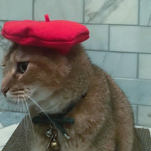 Red Beret Hat for your Cat FREE SHIPPING image 5