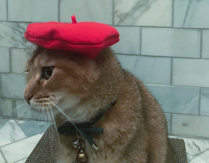 Red Beret Hat for your Cat FREE SHIPPING image 5