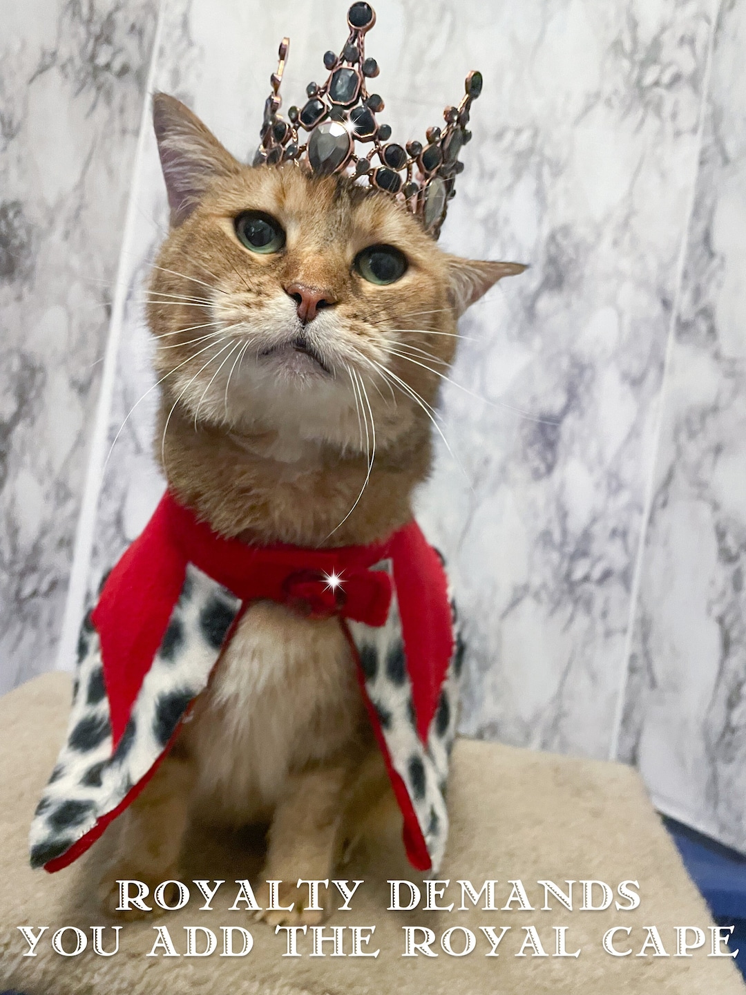 ローズゴールド＆ブラックの邪悪な金属製猫の王冠 - あなたの王様猫の