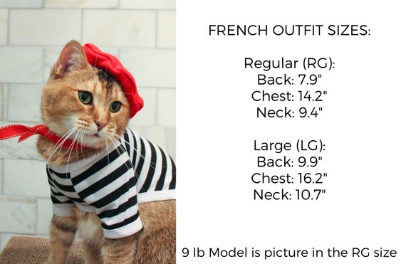 Complete French Cat Outfit Cat Beret Ascot and Striped Shirt 