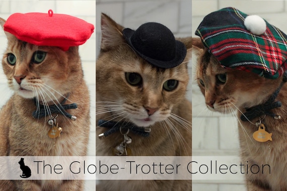La Globe-Trotter Cat Hat Collection di 3 Cappelli Cat | Etsy Italia