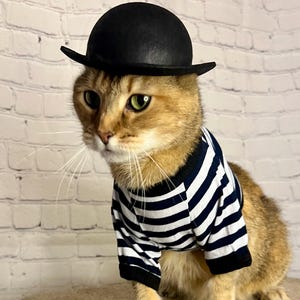 K&ouml;nnte beinhalten: Eine braune getigerte Katze tr&auml;gt ein schwarz-wei&szlig; gestreiftes Hemd und einen schwarzen Bowlerhut. Die Katze sitzt auf einer braunen Oberfl&auml;che.