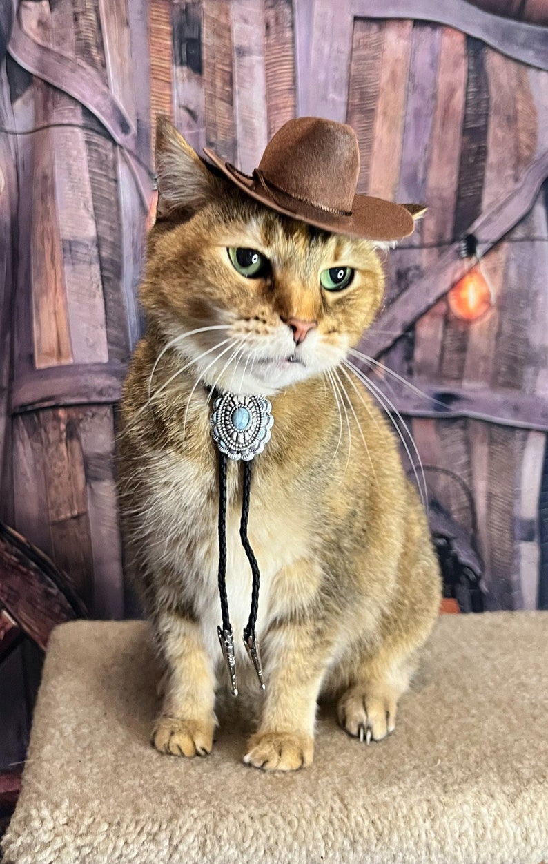 Brown Cowboy Cat Hat FREE SHIPPING image 1