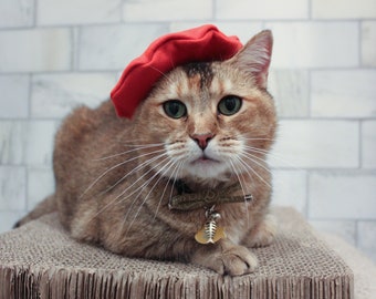 Kattinatt Red Cat Cute Kitten Beret Cotton Wool ? Soft z5794100475483_721b866254aa553  main image 2