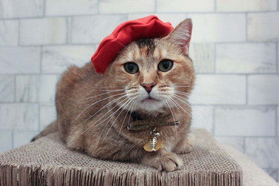 Red Christmas Beret for Your Cat/dog Cat Hat-- Holiday Cat  display picture 2