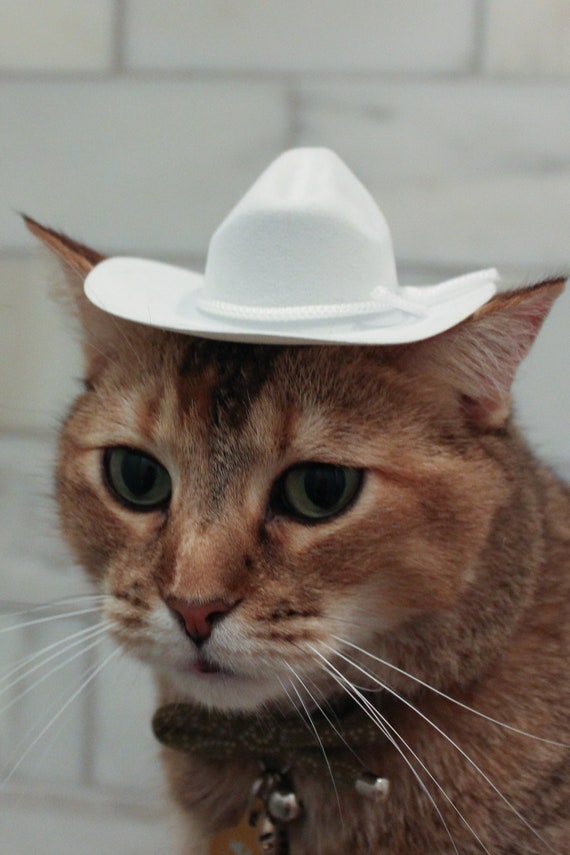 White Cowboy Cat Hat Dog Hat W Free Shipping Etsy