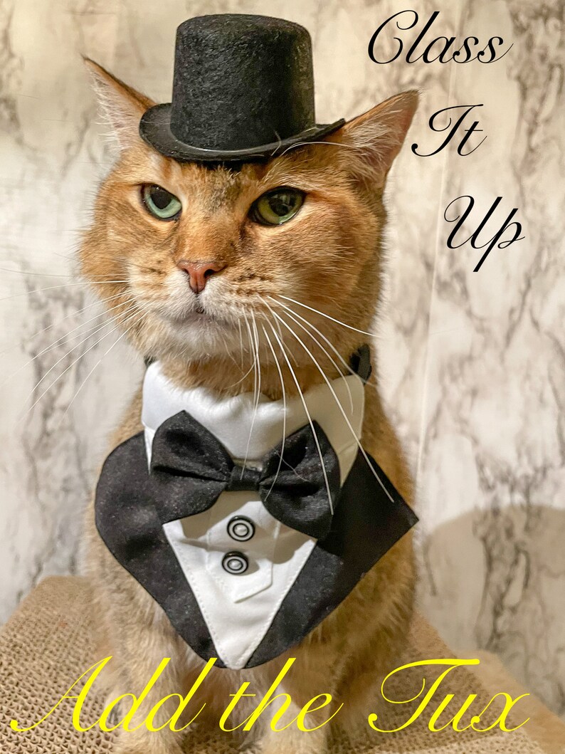 Black Top Hat Cat Hat FREE SHIPPING Etsy