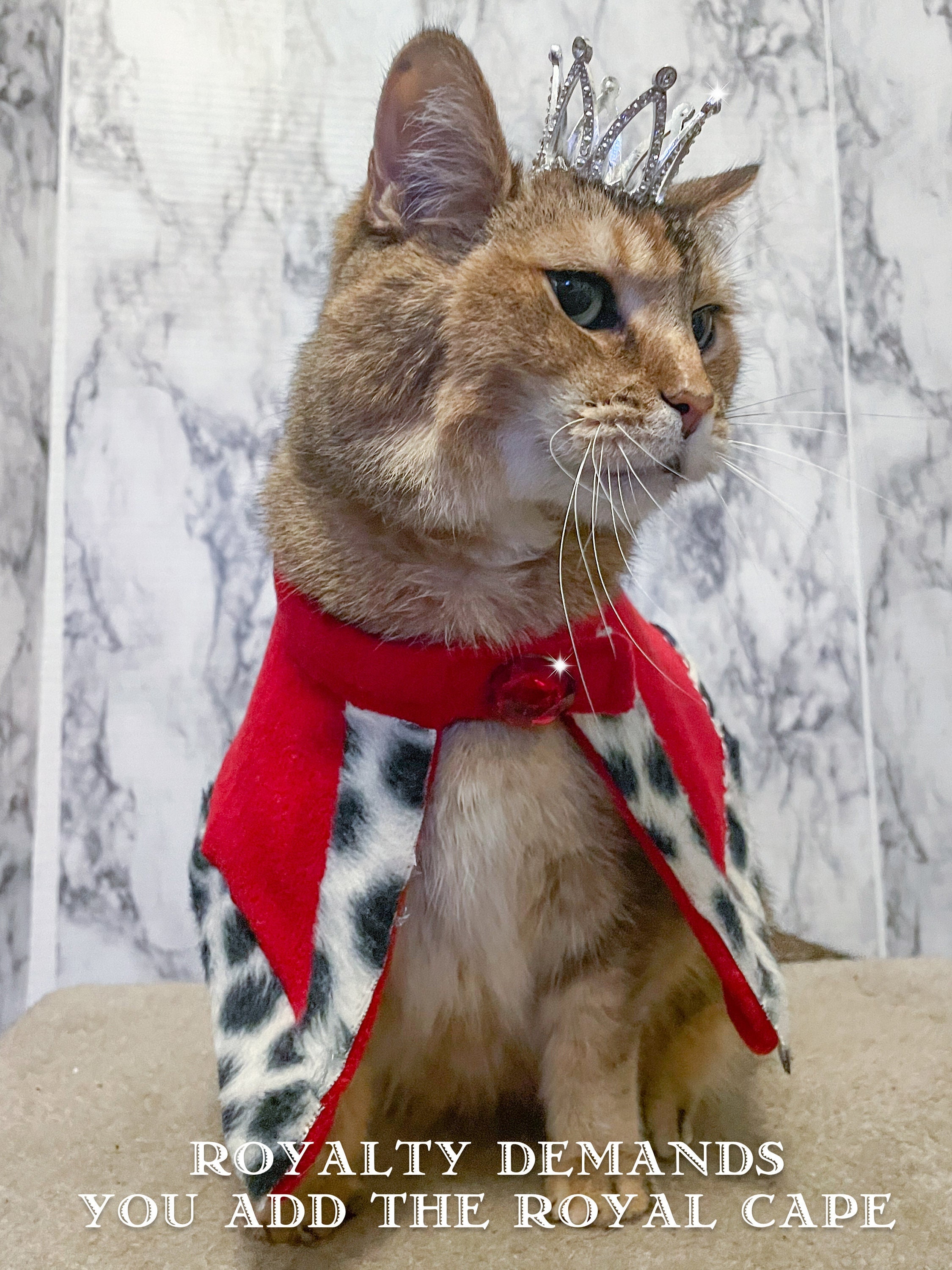 シルバーメタル猫王冠 - 猫の王様または女王様 - 猫用王冠、犬用王冠