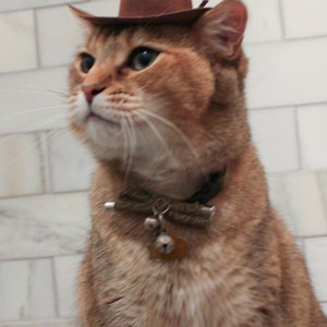 Brown Cowboy Cat Hat FREE SHIPPING image 5