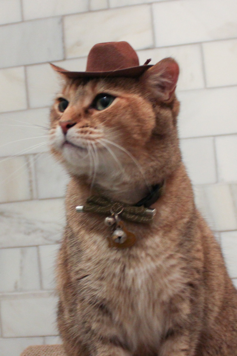 Brown Cowboy Cat Hat FREE SHIPPING image 5