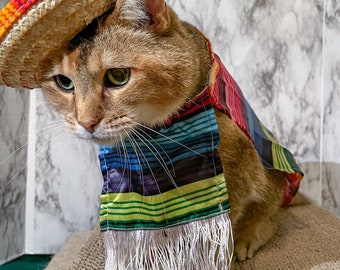 猫のソンブレロ メキシカン猫帽子 犬用帽子 送料無料 - Etsy 日本