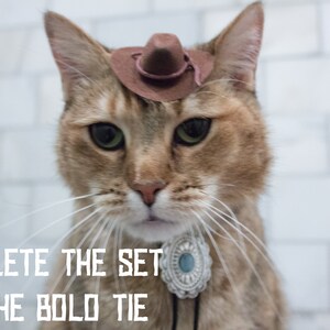 May include: A brown tabby cat wearing a brown cowboy hat and a silver and blue pendant necklace. The cat is looking at the camera with a serious expression.