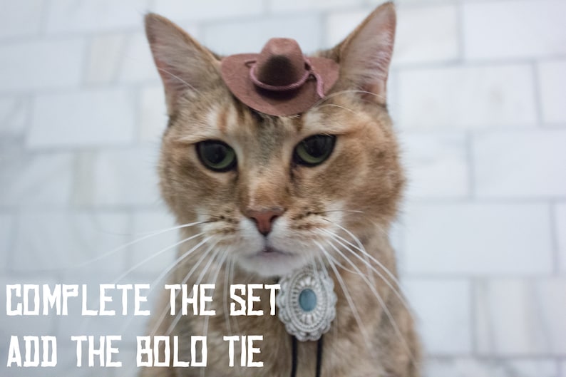 May include: A brown tabby cat wearing a brown cowboy hat and a silver and blue pendant necklace. The cat is looking at the camera with a serious expression.