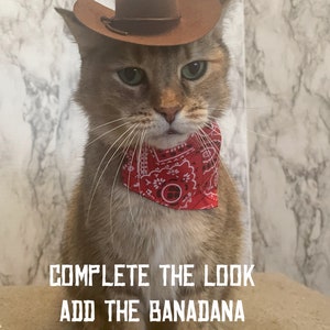 Brown Cowboy Cat Hat FREE SHIPPING image 8