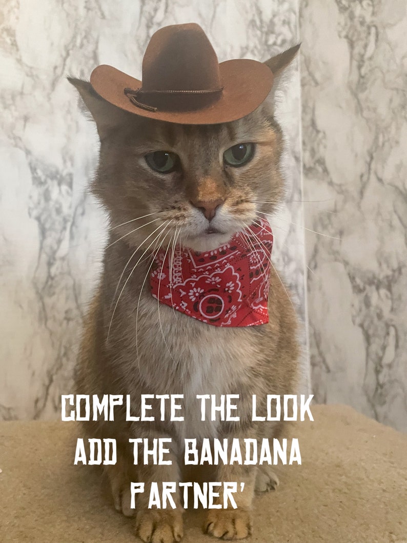 Brown Cowboy Cat Hat FREE SHIPPING image 8