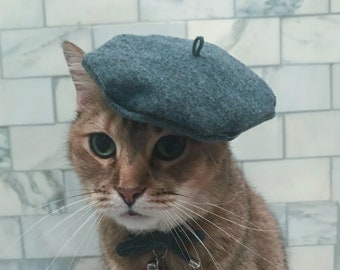 Gray Beret Hat for your Cat FREE SHIPPING