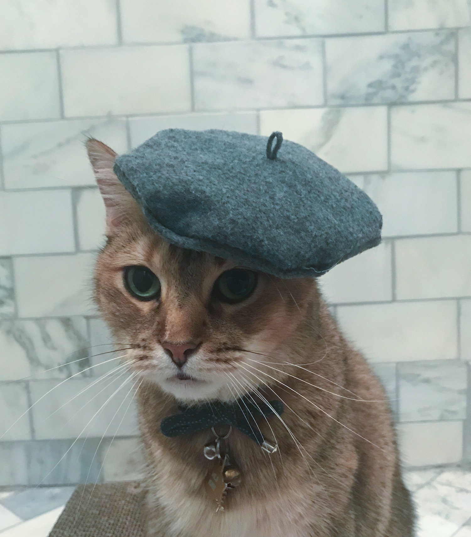 猫用グレーベレー帽 送料無料 - Etsy 日本 猫用グレーベレー帽 送料無料 - Etsy 日本