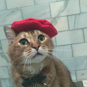 Red Beret Hat for your Cat FREE SHIPPING image 4