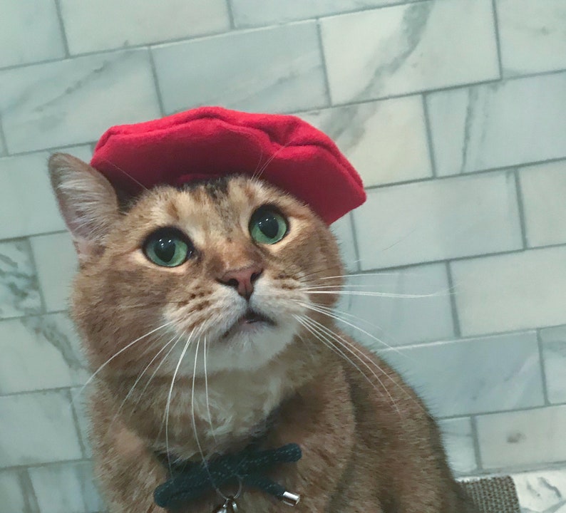 Red Beret Hat for your Cat FREE SHIPPING image 4