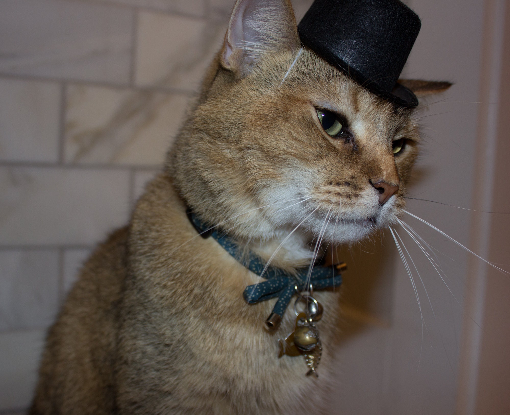 Black Top Hat Cat Hat FREE SHIPPING Etsy