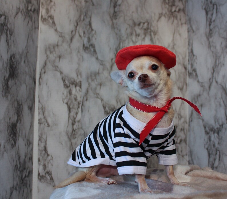Complete French Dog Outfit Dog Beret Ascot and Striped Shirt Etsy