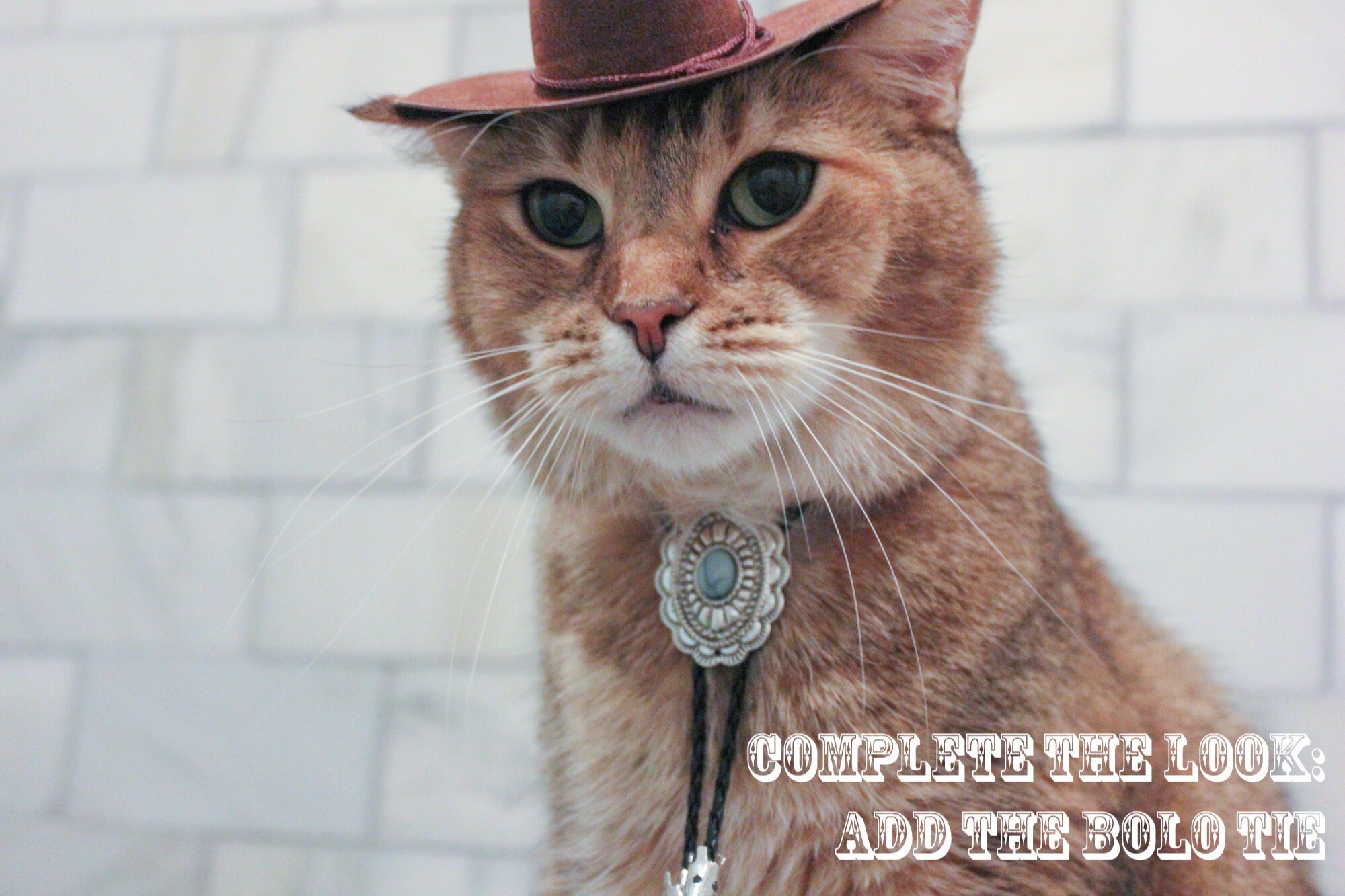 Cappello da cowboy all'uncinetto per gatto: costume da gatto personalizzabile - Italia