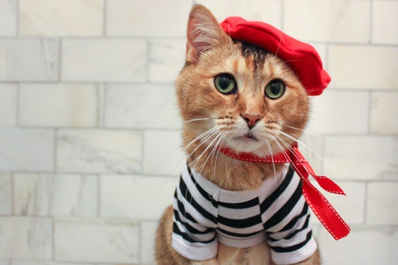 Complete French Cat Outfit Cat Beret Ascot and Striped Shirt 