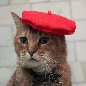 Red Beret Hat for your Cat FREE SHIPPING image 9