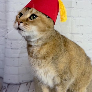 Puede incluir: Un gato atigrado dorado con un fez rojo y una borla amarilla. El gato está sentado en una superficie marrón claro y mirando hacia arriba.