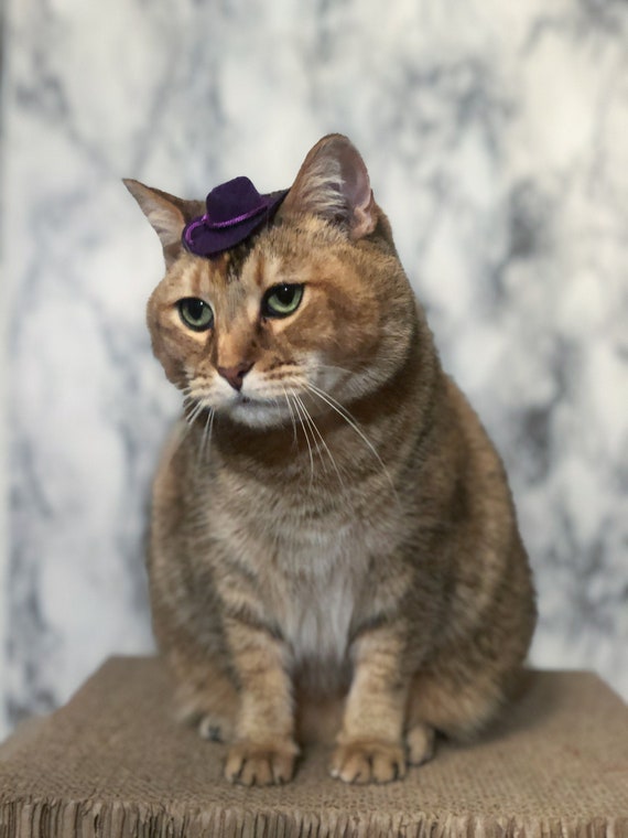 MINI Purple Cowboy Cat Hat for Your Cat 