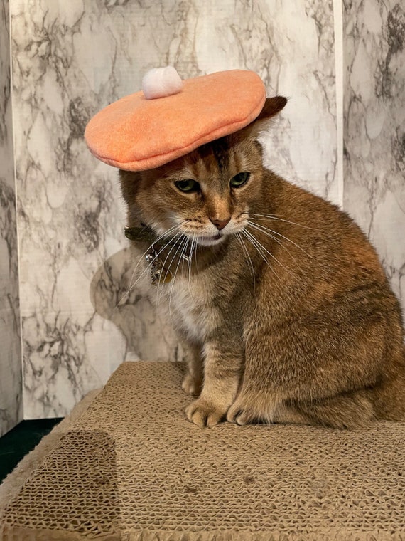 Cappello berretto arancione Sherbet per il tuo gatto SPEDIZIONE