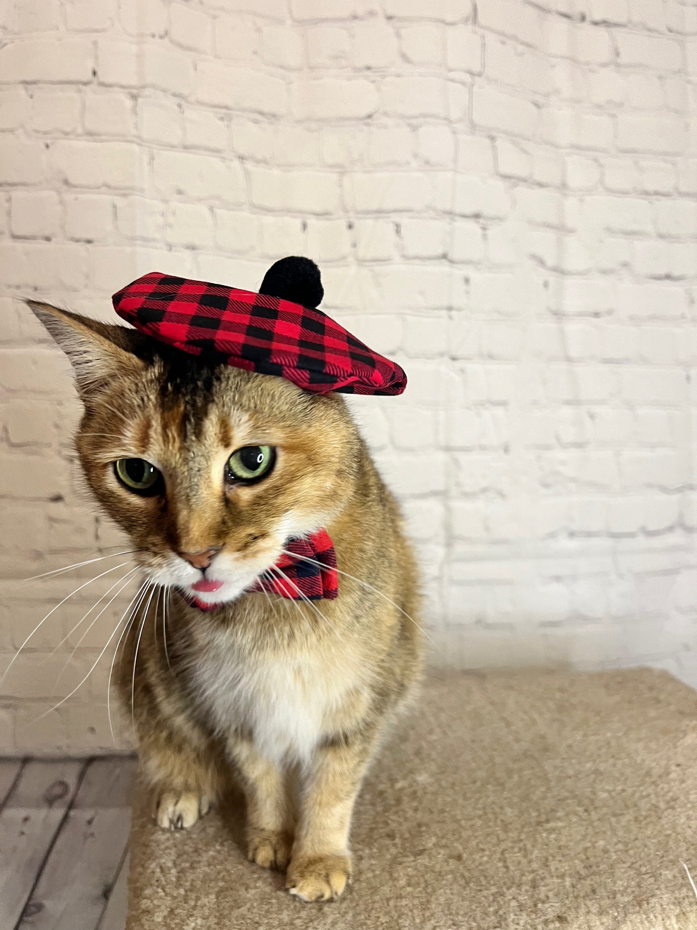 Buffalo Plaid Cat Hat Pajama Style Lumberjack Beret for Your Cat FREE SHIPPING Etsy Canada