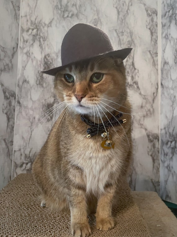 Grande Fedora di Indiana Jones per il tuo gatto, cappello di Indiana Jones  per cane o animale domestico -  Italia