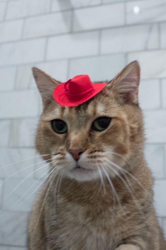 Mini-red Cowboy Cat Hat for Your Cat - Etsy