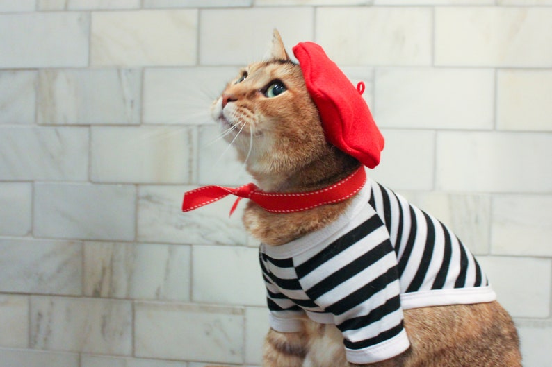 Complete French Cat Outfit Cat Beret Ascot and Striped Shirt image 5