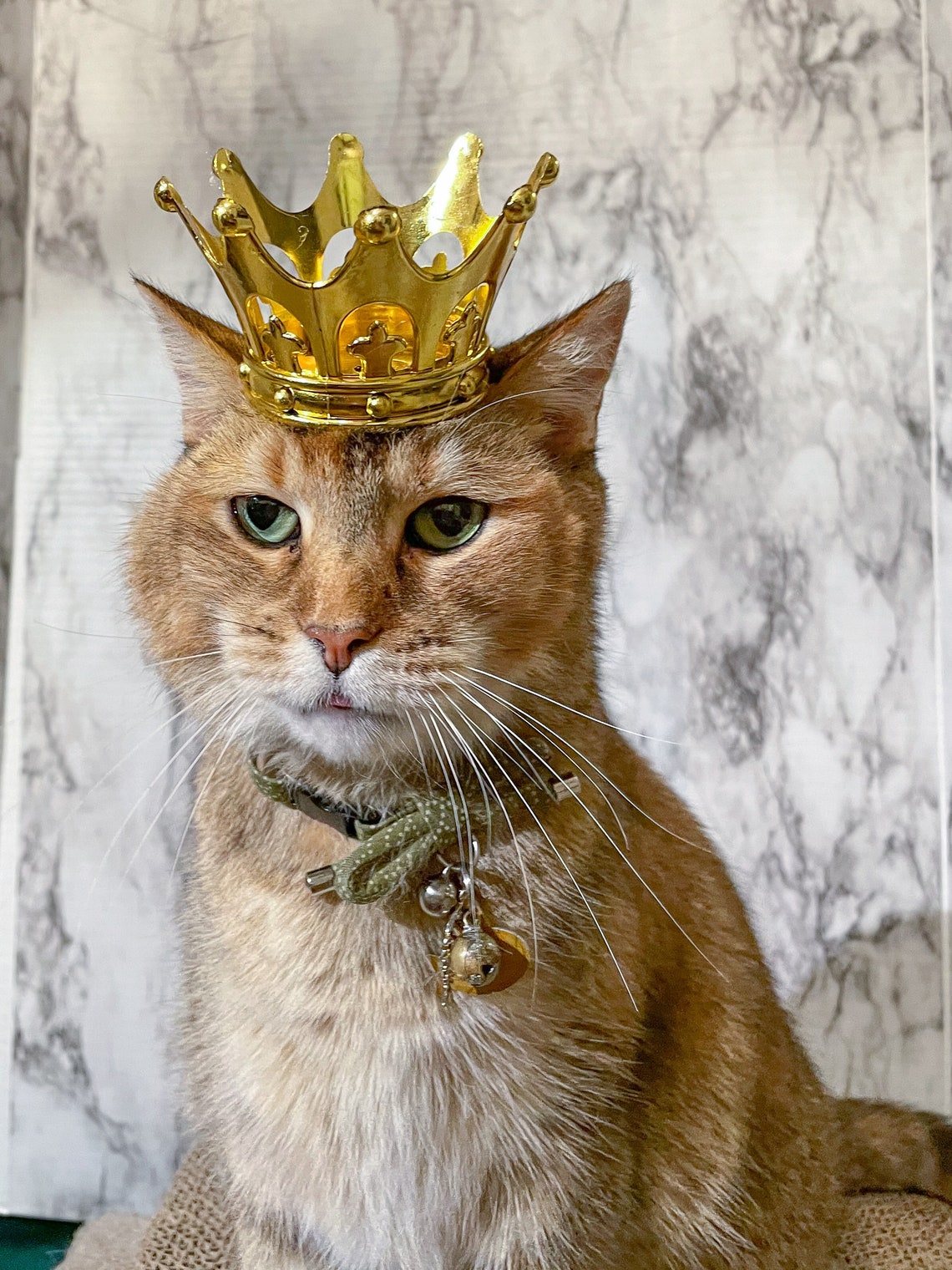 Light Cat Crown Cat King or Queen Crown for Cat Crown for Etsy