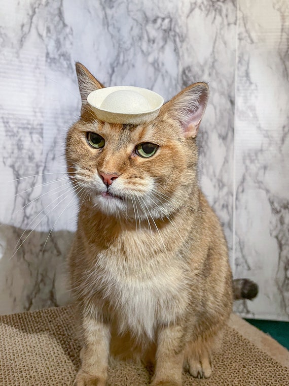 Sailor Cap for Your Cat Sailor Cat for 