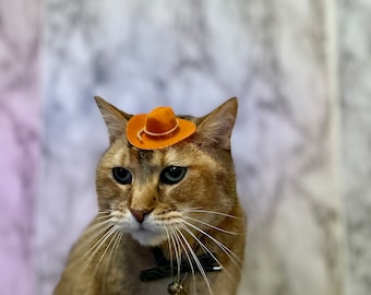 MINI Orange Cowboy Cat Hat FREE SHIPPING