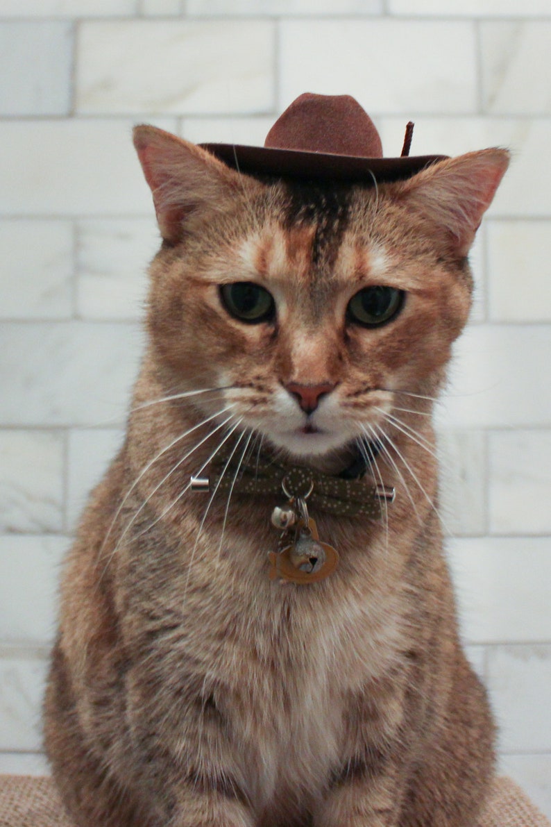 brown-cowboy-cat-hat-free-shipping-etsy