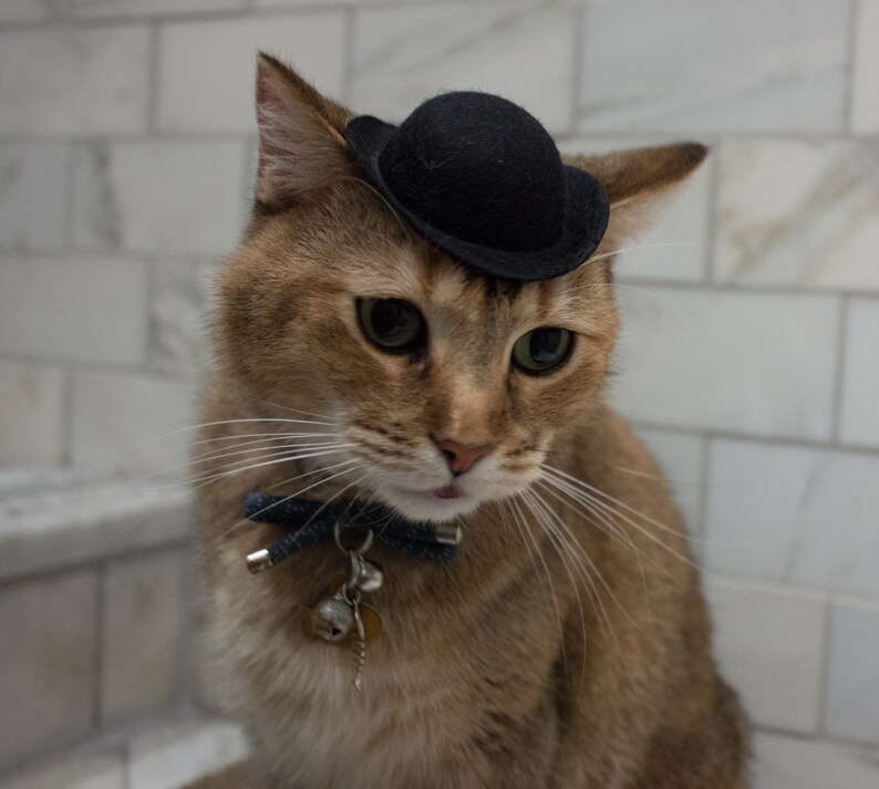 Black Bowler Cat Hat Tough Guy Cat Hat FREE SHIPPING Mini Etsy