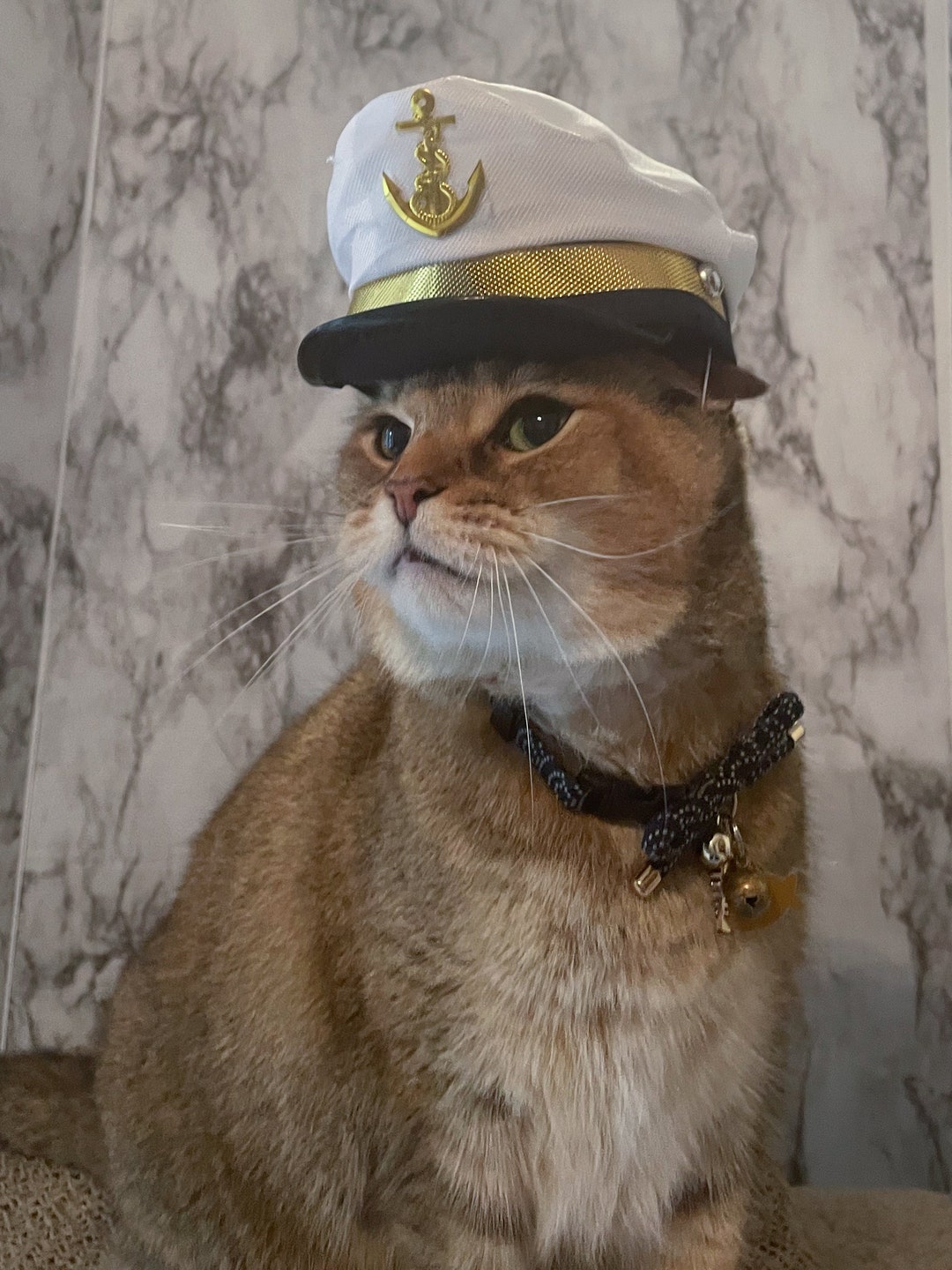 Sea Captains Hat for Cat or Small Dog, Cat Hat With FREE SHIPPING Etsy