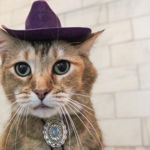 Large Purple Cowboy Cat Hat for your Cat