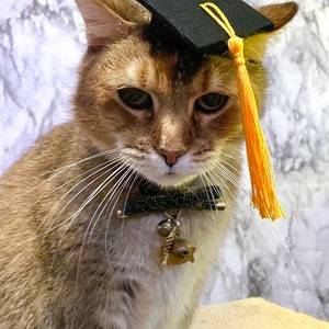 Gorro de graduación de tamaño mini para tu gato ENVÍO GRATIS Color de borla personalizado adicional imagen 4