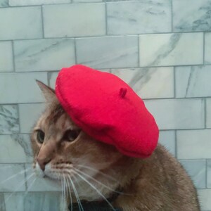 Red Beret Hat for your Cat FREE SHIPPING image 3