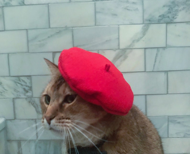Red Beret Hat for your Cat FREE SHIPPING image 3