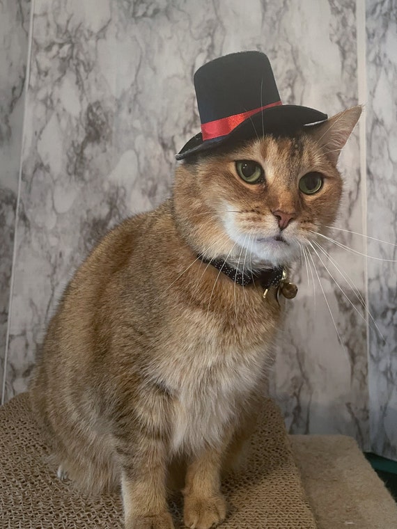 Hat Cat Hat for Your Cat Christmas 