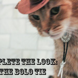 Brown Cowboy Cat Hat FREE SHIPPING image 7