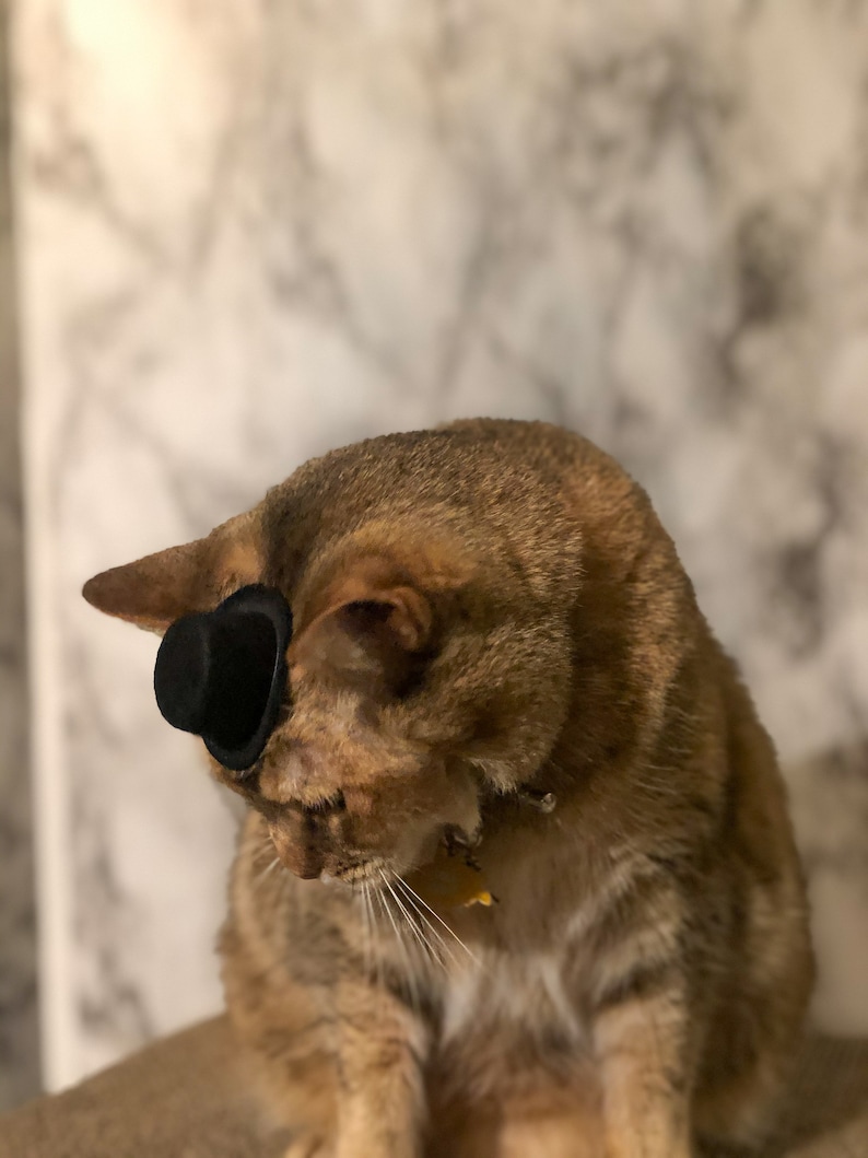 Mini Black Top Hat Cat Hat for Your Cat Etsy