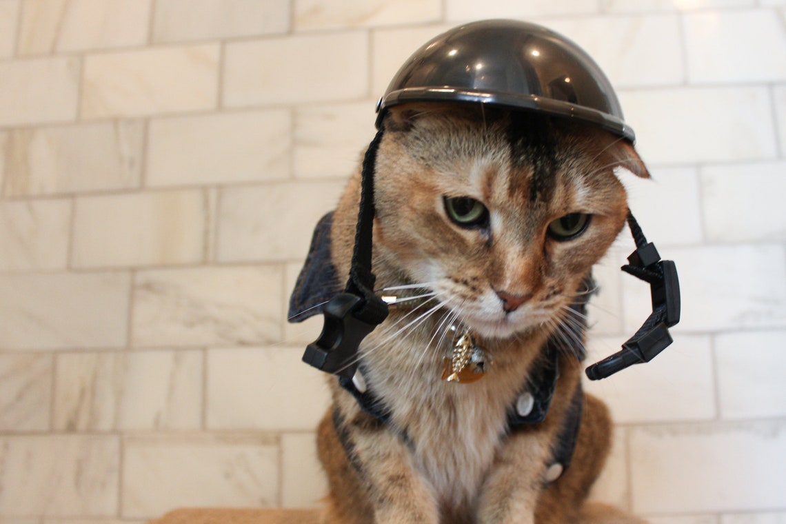 Helmet for Cat Cat Hat Helmet Etsy